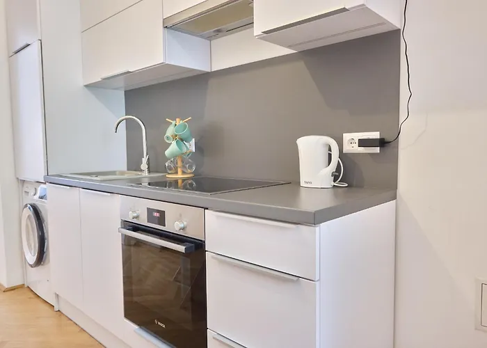 Apartment Designer Flat I 5 Minutes To Metro I Fast Wifi Vienna